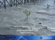 BMKG Akhiri Peringatan Tsunami di Berau, Tsunami Kecil Sempat Terpantau di Biduk-biduk Regional 8 Juni 2026
