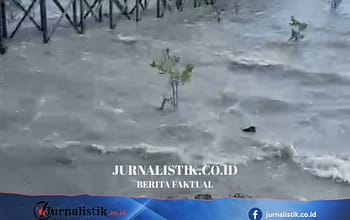 BMKG Akhiri Peringatan Tsunami di Berau, Tsunami Kecil Sempat Terpantau di Biduk-biduk Regional 8 Juni 2026