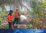 334 Hektare Gambut Terbakar di Nagan Raya, Desakan Usut Pelaku dan Evaluasi Izin Usaha Regional 9 Juni 2026