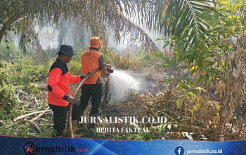 334 Hektare Gambut Terbakar di Nagan Raya, Desakan Usut Pelaku dan Evaluasi Izin Usaha Regional 9 Juni 2026