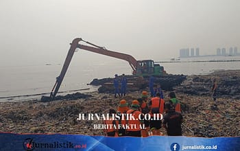 Pulau Sampah di Jakarta dan Ancaman yang Mengalir ke Meja Makan News 6 Juni 2026