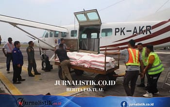 BNPB Modifikasi Cuaca di Jambi Selama Sepekan, Upaya Basahi Lahan Gambut dari Ancaman Karhutla Regional 8 Juni 2026