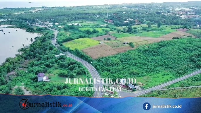 Ilustrasi tambang ilegal dan hutan lindung