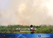 BNPB Gempur Api dari Udara Usai 29,1 Hektare Lahan Terbakar di Aceh Barat Regional 9 Juni 2026