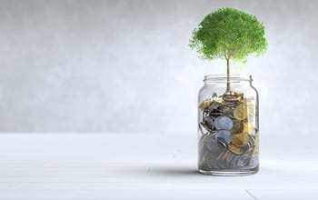 Pemerintah Serap Rp 8,85 Triliun dari Lelang SBSN, Penawaran Masuk Rp 26 Triliun Money 3 Juni 2026