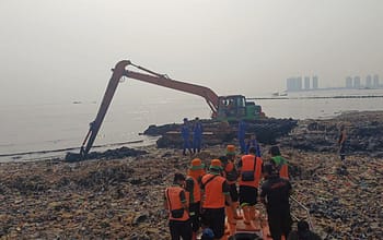 Butuh Lebih Satu Dekade Pulihkan Mangrove yang Terdampak Pulau Sampah Muara Angke News 5 Juni 2026
