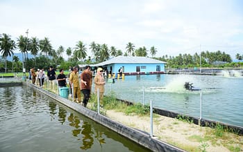 Vice Governor Idah Inspects Visit Locations for PENAS XVII Participants
